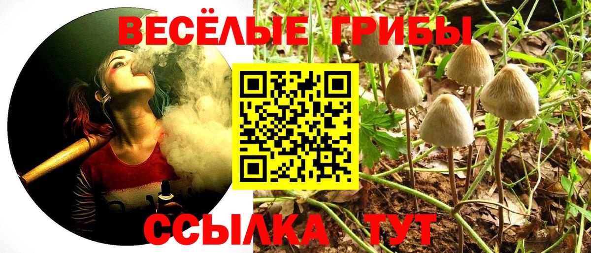 Псилоцибиновые грибы Psilocybine cubensis Вологда