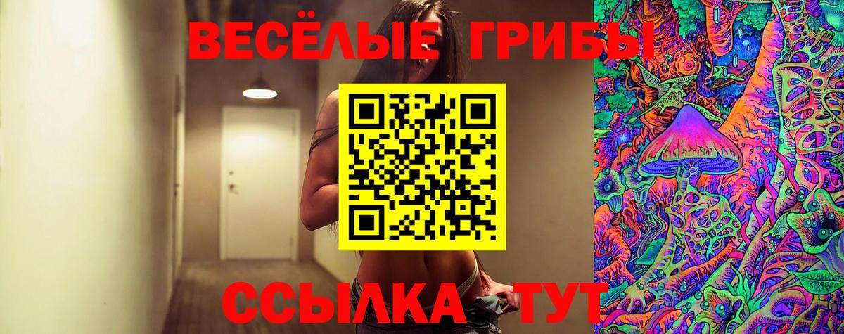 Вологда  Псилоцибиновые грибы Cubensis  Вход с VPN  Галлюциногенные грибы прущие грибы 