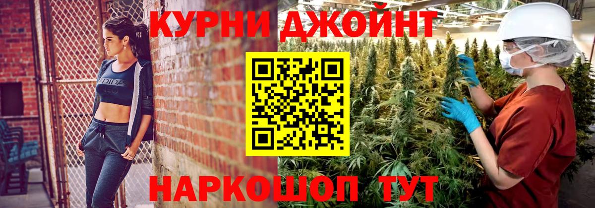 Конопля Вологда